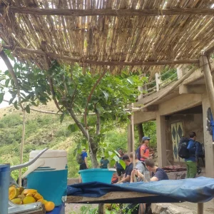 Local Amazigh mountain guide sharing mint tea with trekkers during the Mt Toubkal trek. 