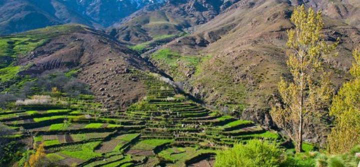Green valleys and rugged landscapes along the Morocco Toubkal trek route
